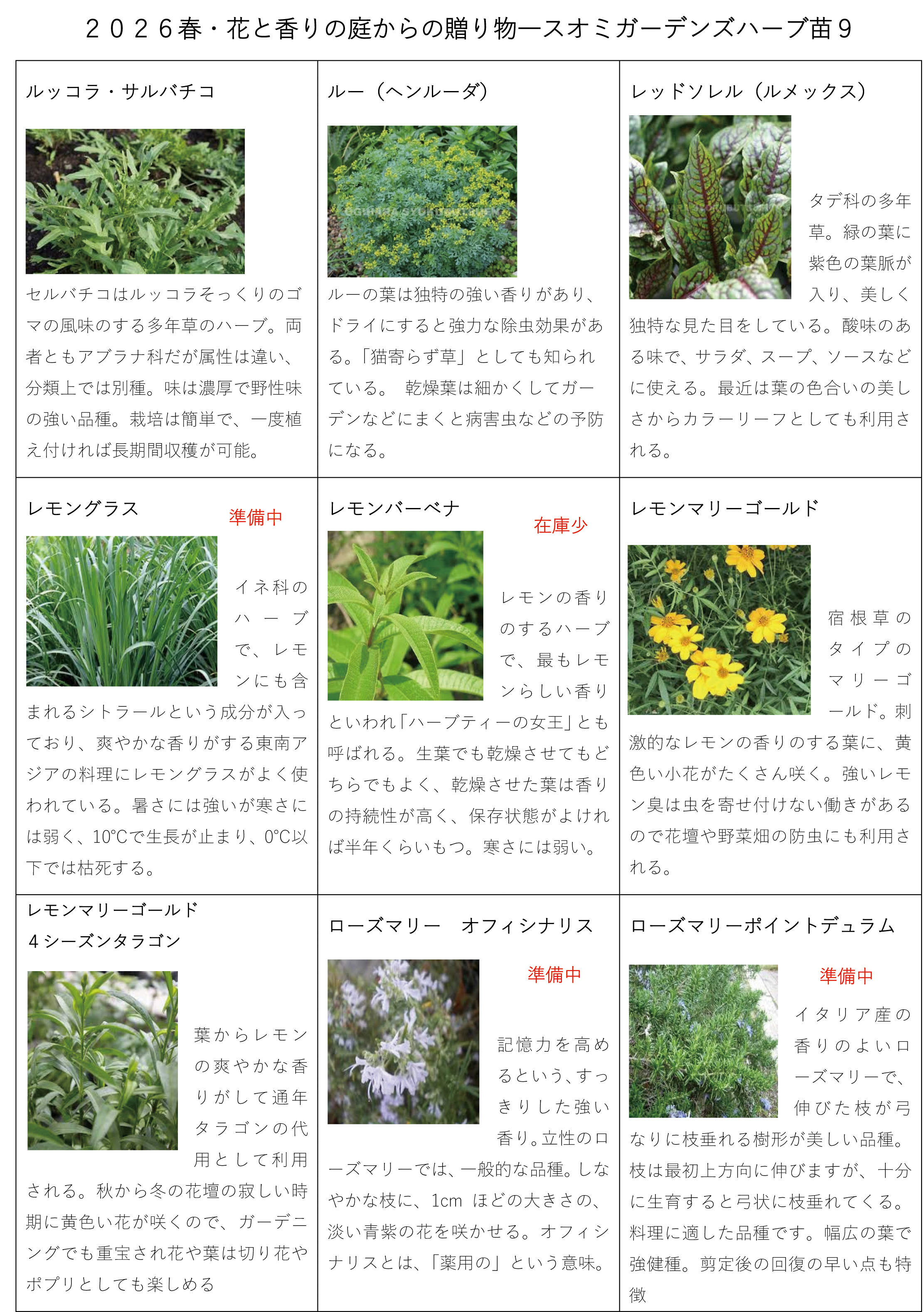 福岡のハーブ 苗 自然な状態 砂 最大80％OFF - 『在庫ロス売買マーケット』 苗 福岡のハーブ 自然な
